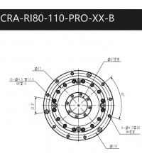 cra-ri80-110-pro-xx-b